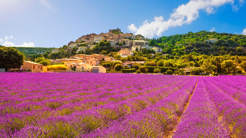 Provence til Carmague på egen hånd